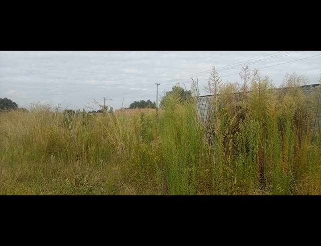 4,502M² VACANT LAND FOR SALE IN RIVERSDALE